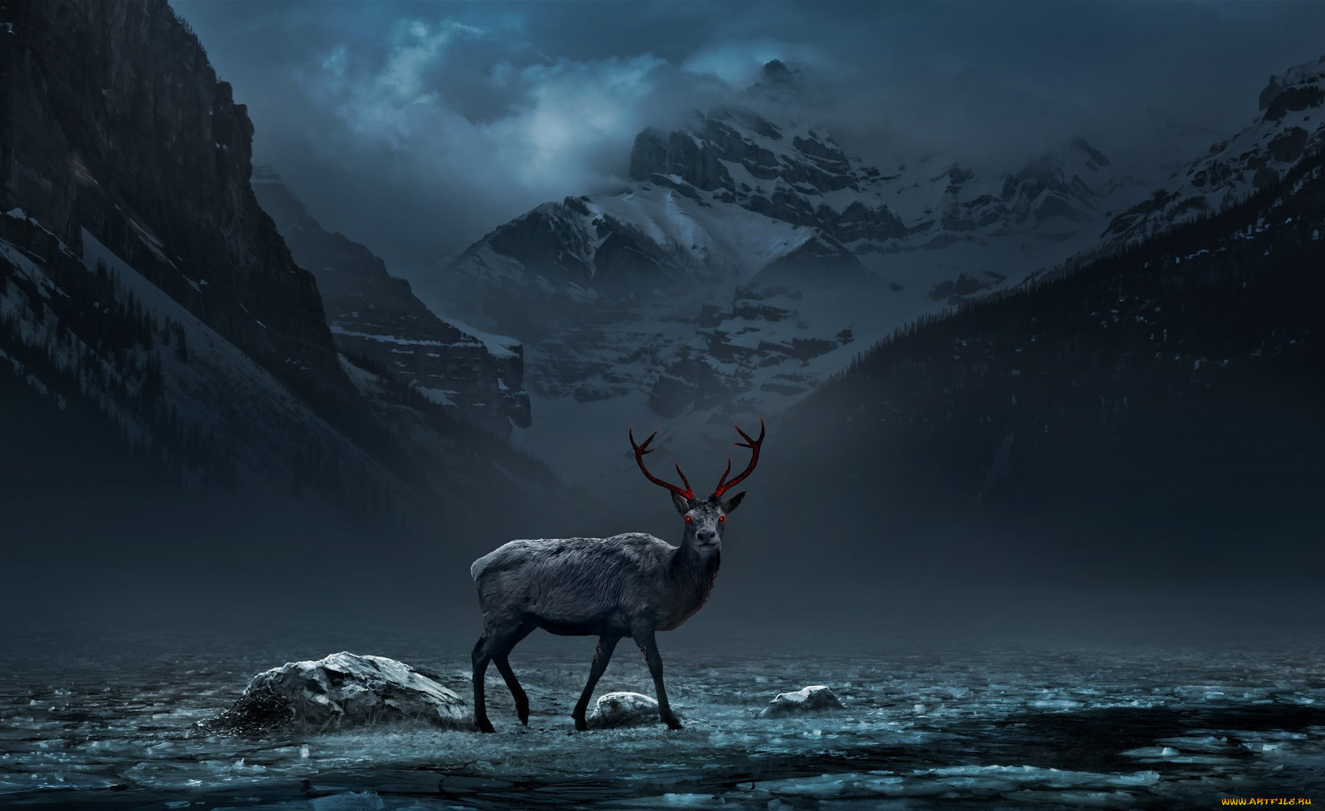 3, , animals, , , , alexiuss, , , , , , 